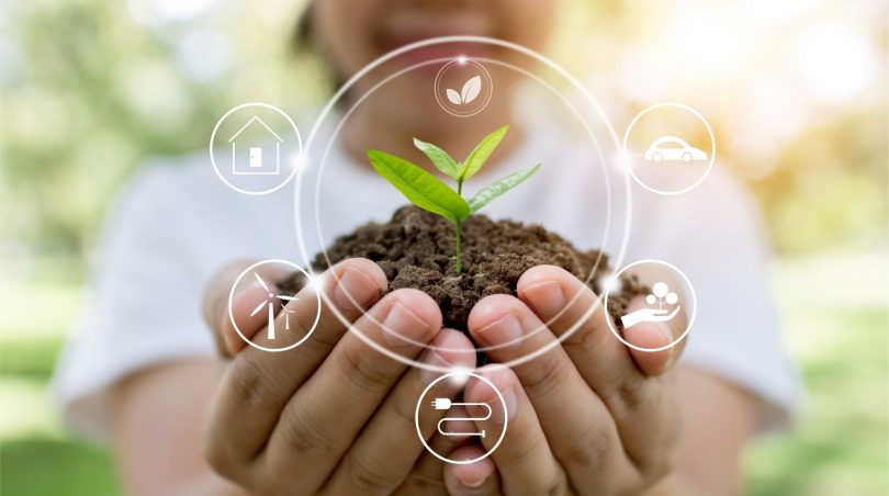 o que é consumo sustentavel