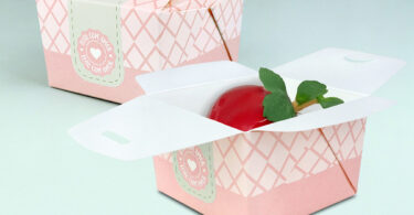 embalagem para morango do amor