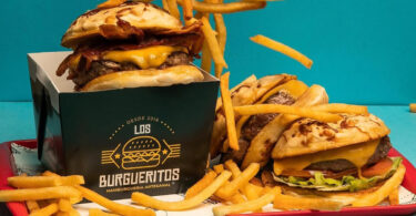 embalagem para hamburguer 2